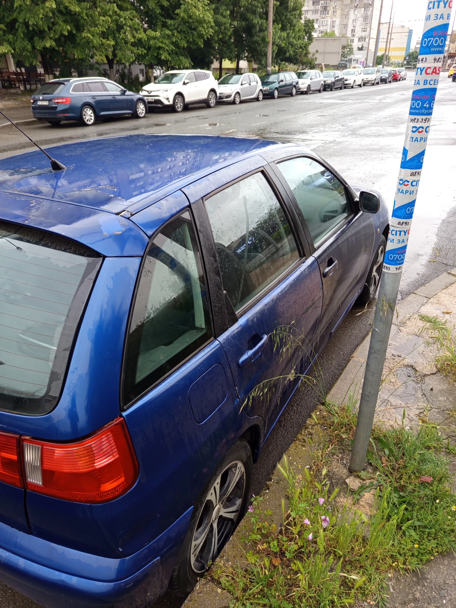 Seat Ibiza  - изображение 4