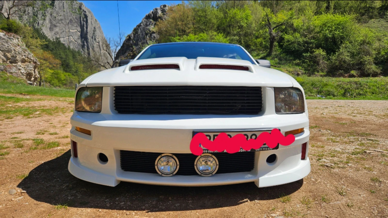 Ford Mustang V-8 4.6L S197 GT