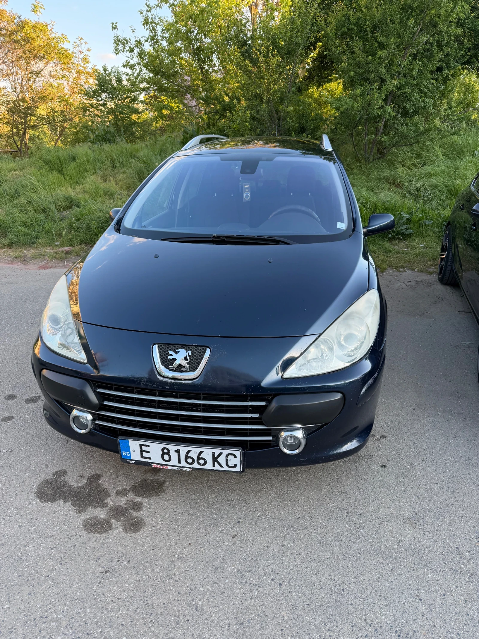 Peugeot 307, снимка 3 - Автомобили и джипове - 54412343
