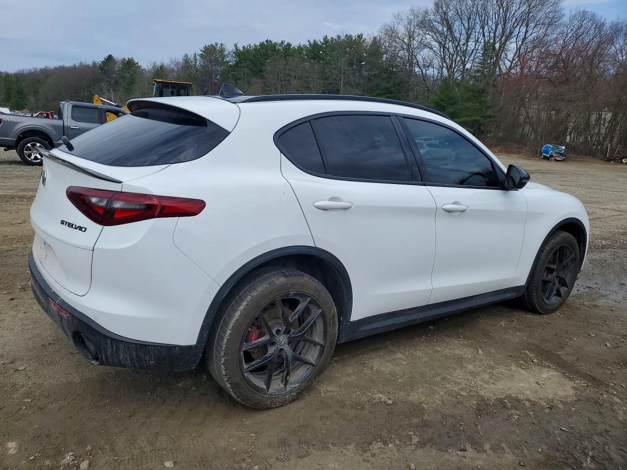Alfa Romeo Stelvio * TI* AWD* HARMAN* MEMORY* , снимка 4 - Автомобили и джипове - 54238786