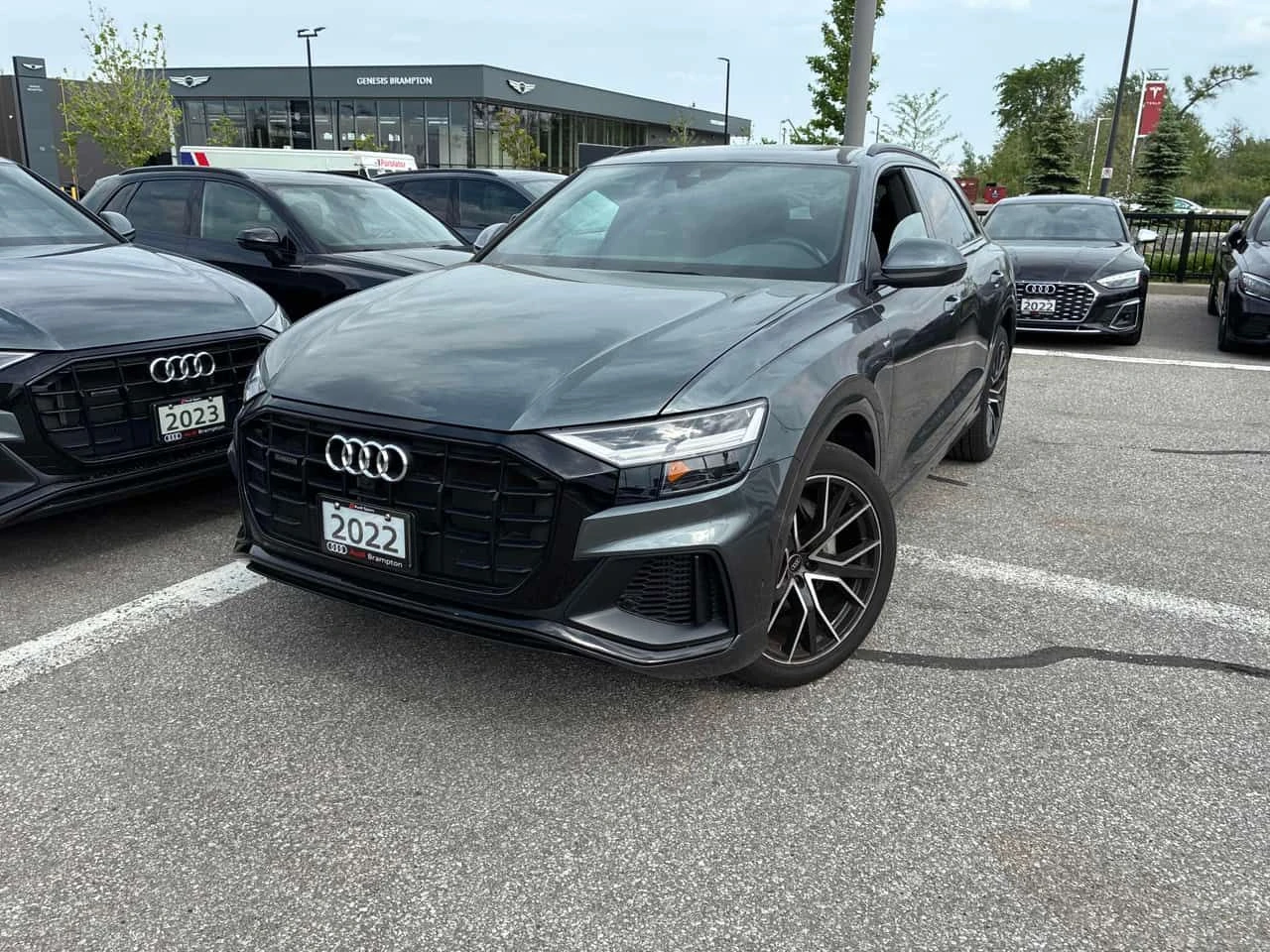 Audi Q8 Progressiv  CARFAX