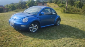     VW Beetle