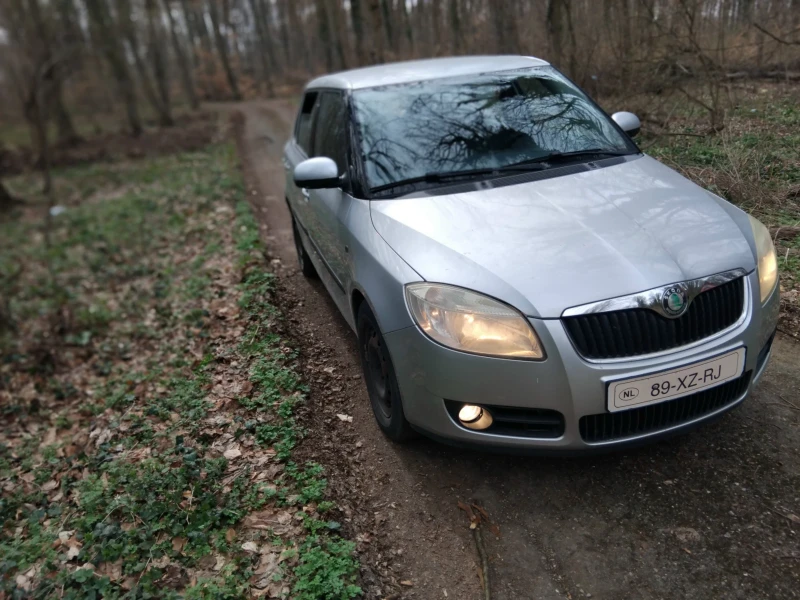 Skoda Fabia 1.9 TDI 105к.с, снимка 2 - Автомобили и джипове - 49505297