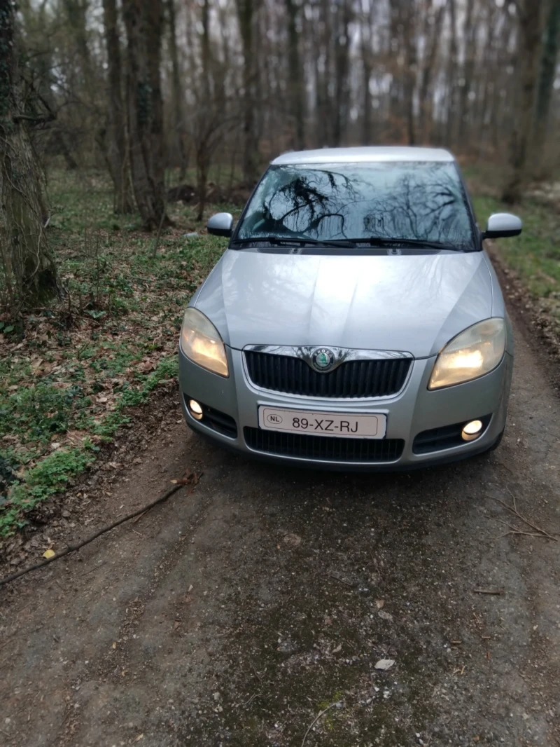 Skoda Fabia 1.9 TDI 105к.с, снимка 1 - Автомобили и джипове - 49505297