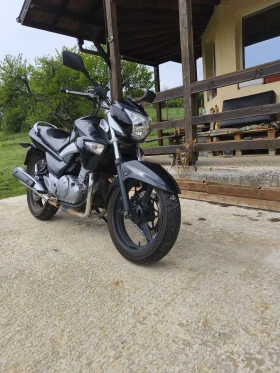  Suzuki Inazuma