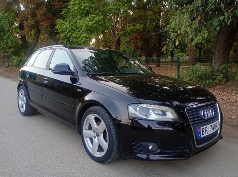 Audi A3 1.9tdi* S-Line* LED* ALCANTARA* ПОДГРЕВ, снимка 2 - Автомобили и джипове - 53020879
