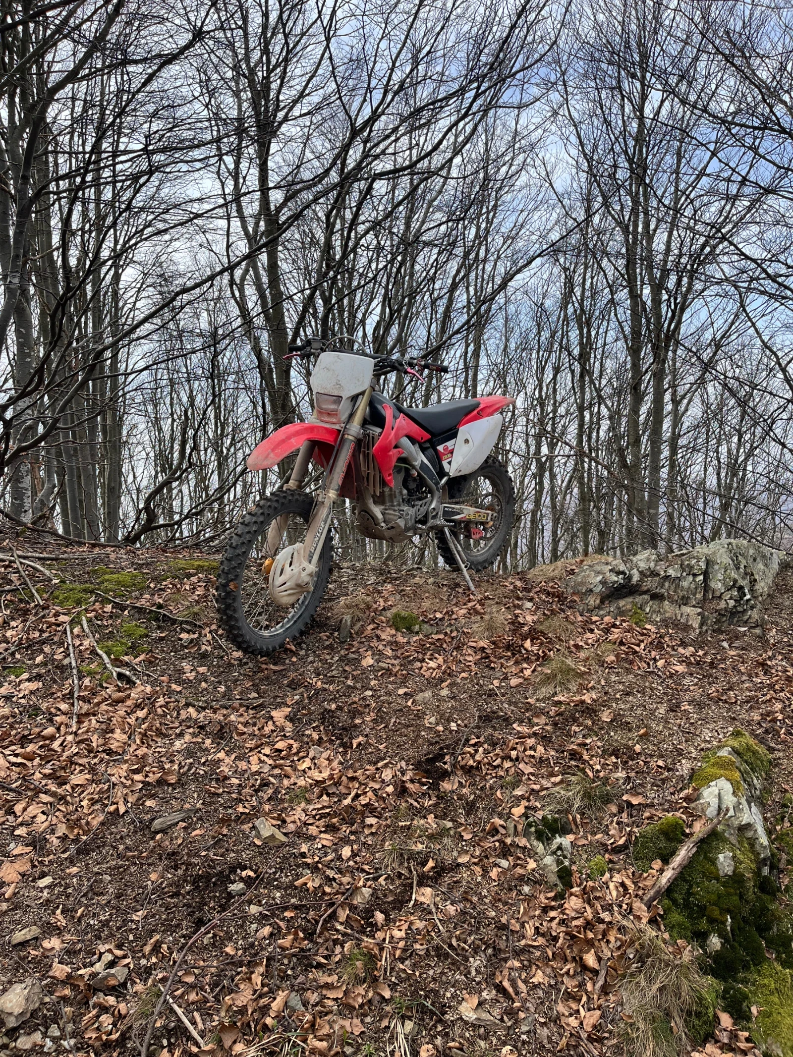 Honda Crf Crf-X - изображение 5