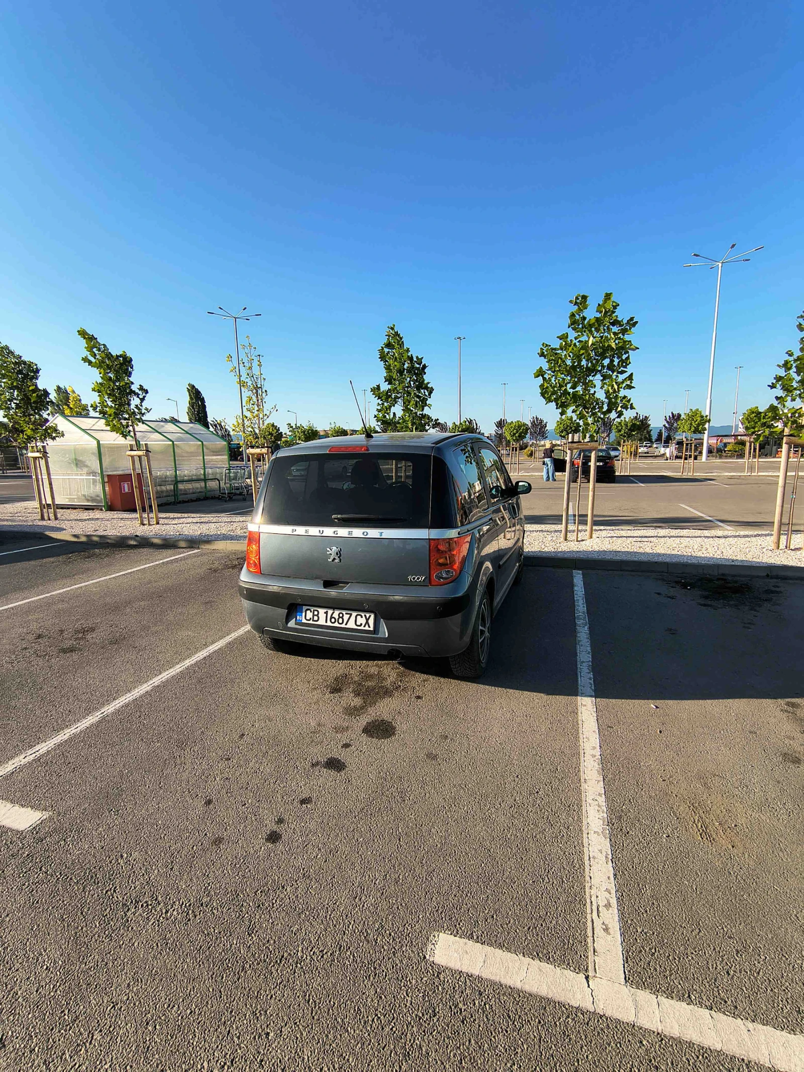 Peugeot 1007, снимка 4 - Автомобили и джипове - 55096485