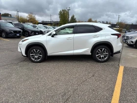Lexus NX 300h  CARFAX * БЕЗ ПЪРВОНАЧАЛНА ВНОСКА - 18600 € / 36378.44 лв. - 88384292 2