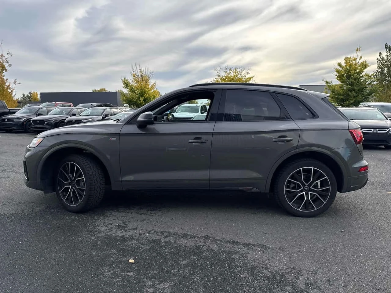 Audi Q5 / ��������� / �������� / ����� �� ����������� | Mobile.bg � ����������� 2