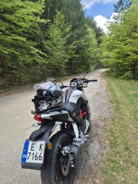 Benelli 250 BN 251 | Mobile.bg � ����� ������ 8