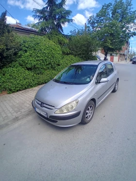  Peugeot 307