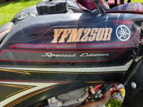Yamaha Raptor 250 | Mobile.bg � ����� ������ 10