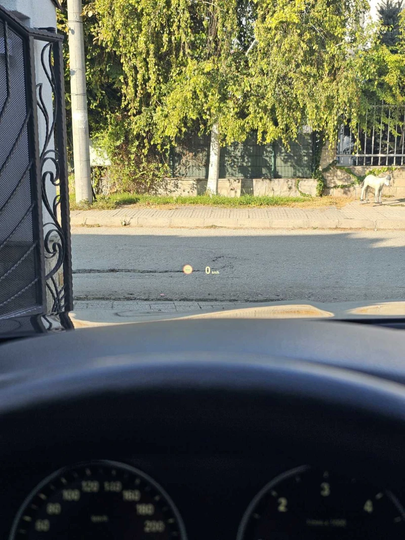 BMW 520, снимка 7 - Автомобили и джипове - 51724313