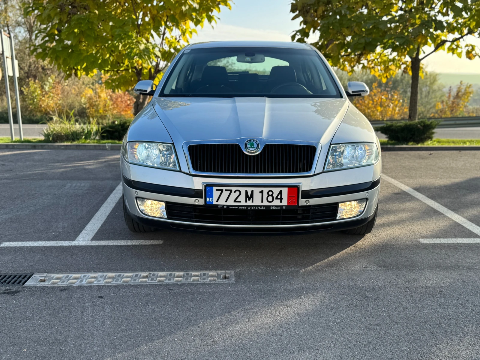 Skoda Octavia 1.9 TDI DSG | Mobile.bg   1