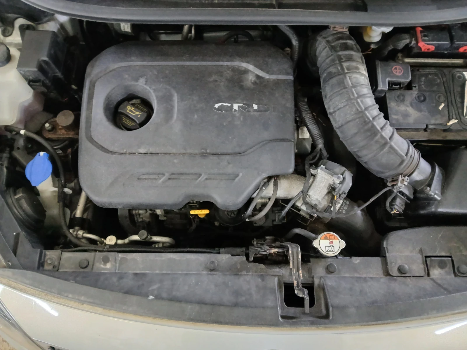 Kia Rio | Mobile.bg � ����������� 4