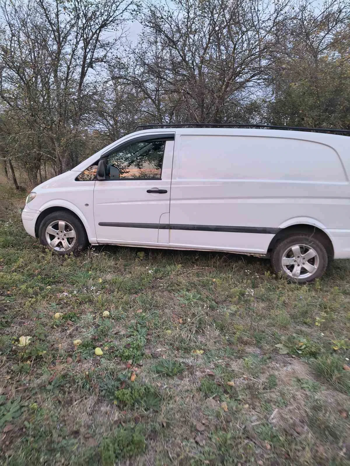 Mercedes-Benz Vito 115 CDI | Mobile.bg � ����������� 13