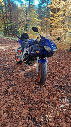 Обява за продажба на Suzuki SV Suzuki 650 ЛИЗИНГ?БАРТЕР  ~4 999 лв. - изображение 3 | Auto.bg Обява за продажба на Suzuki SV Suzuki 650 ЛИЗИНГ?БАРТЕР  ~4 999 лв. - изображение 3