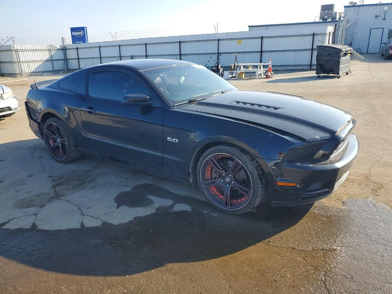 Ford Mustang 5.0l Gt * Крайна цена до БГ* , снимка 4 - Автомобили и джипове - 53756032