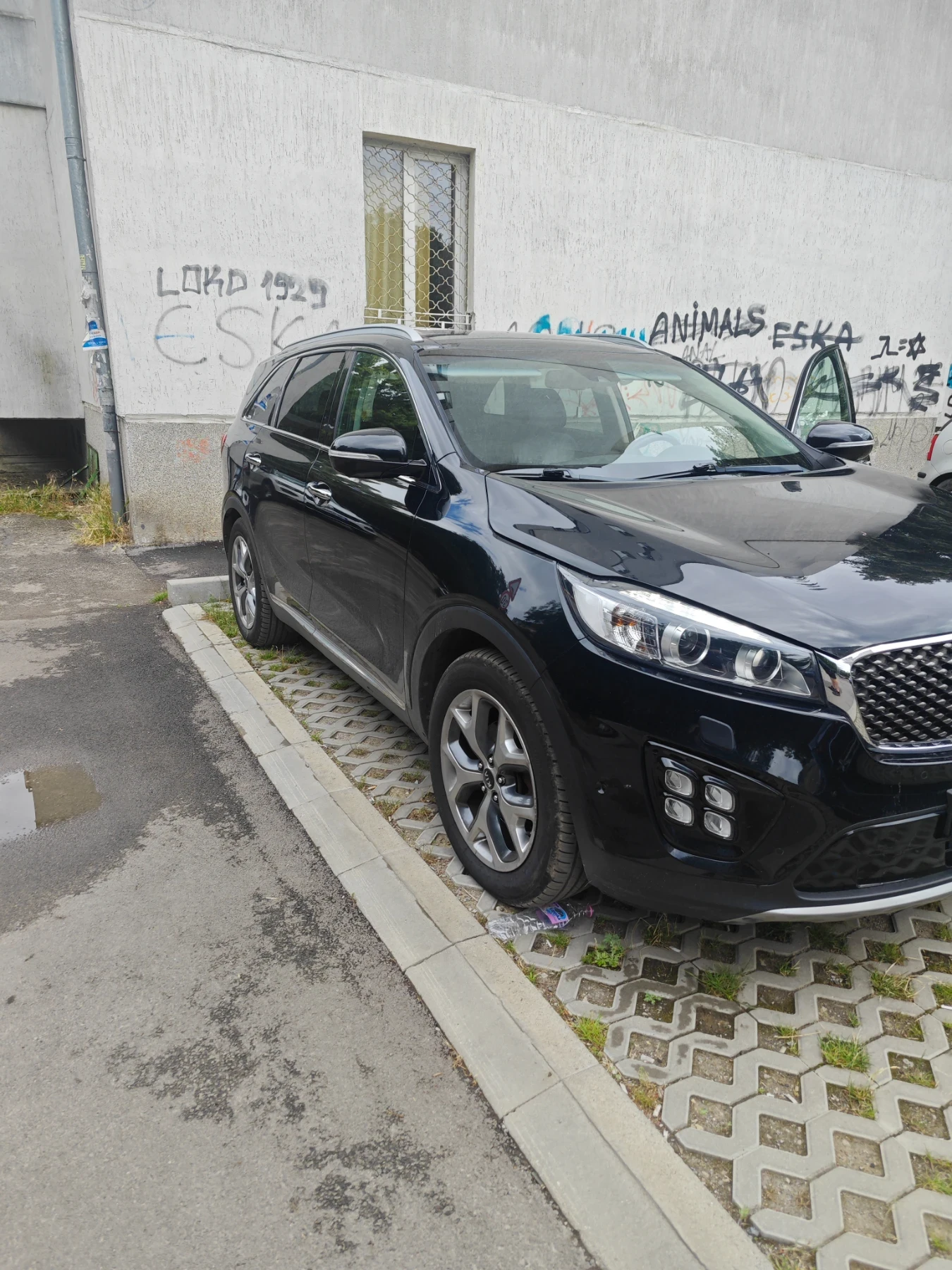 Kia Sorento 2.2 CRDI AWD 7Mестен, снимка 12 - Автомобили и джипове - 55212618