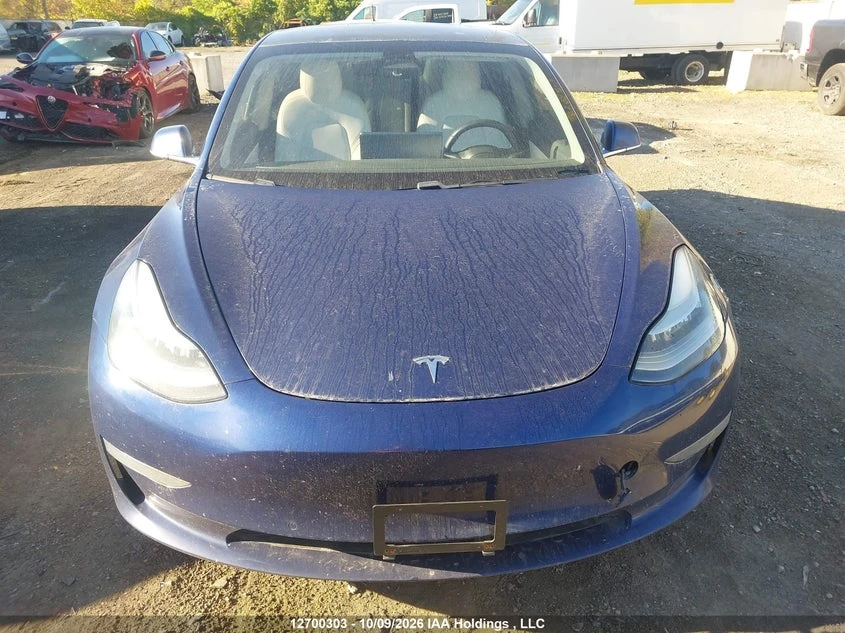 Tesla Model 3, снимка 12 - Автомобили и джипове - 56513345