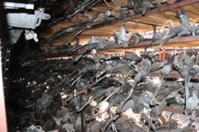 КОРМИЛНИ РЕЙКИ, снимка 3