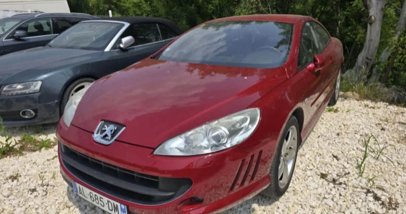 Peugeot 407