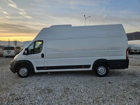 Fiat Ducato 3.0, Хладилен, XXL, снимка 2