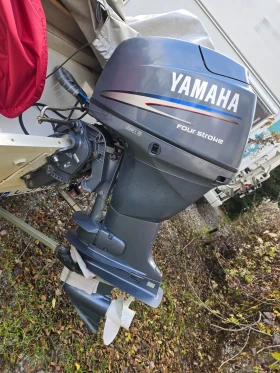       Yamaha F30AET