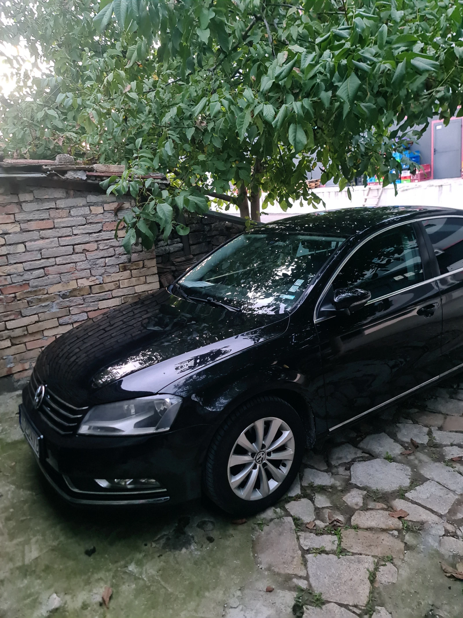 VW Passat  - изображение 2