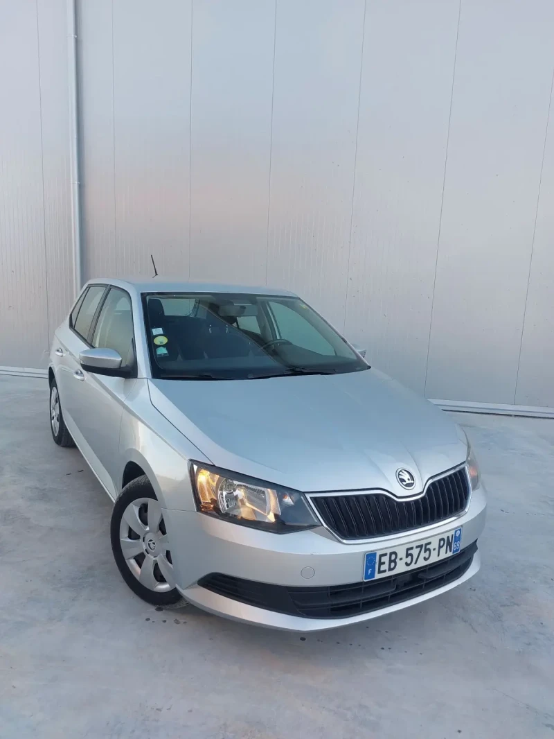 Skoda Fabia 1.4 TDI, снимка 1 - Автомобили и джипове - 48732163