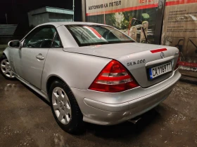     Mercedes-Benz SLK  