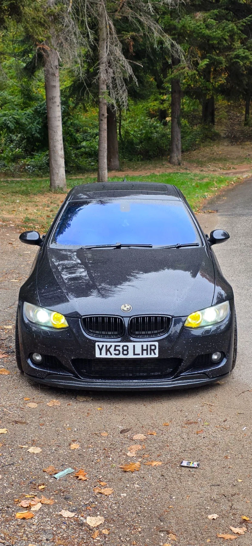 BMW 335