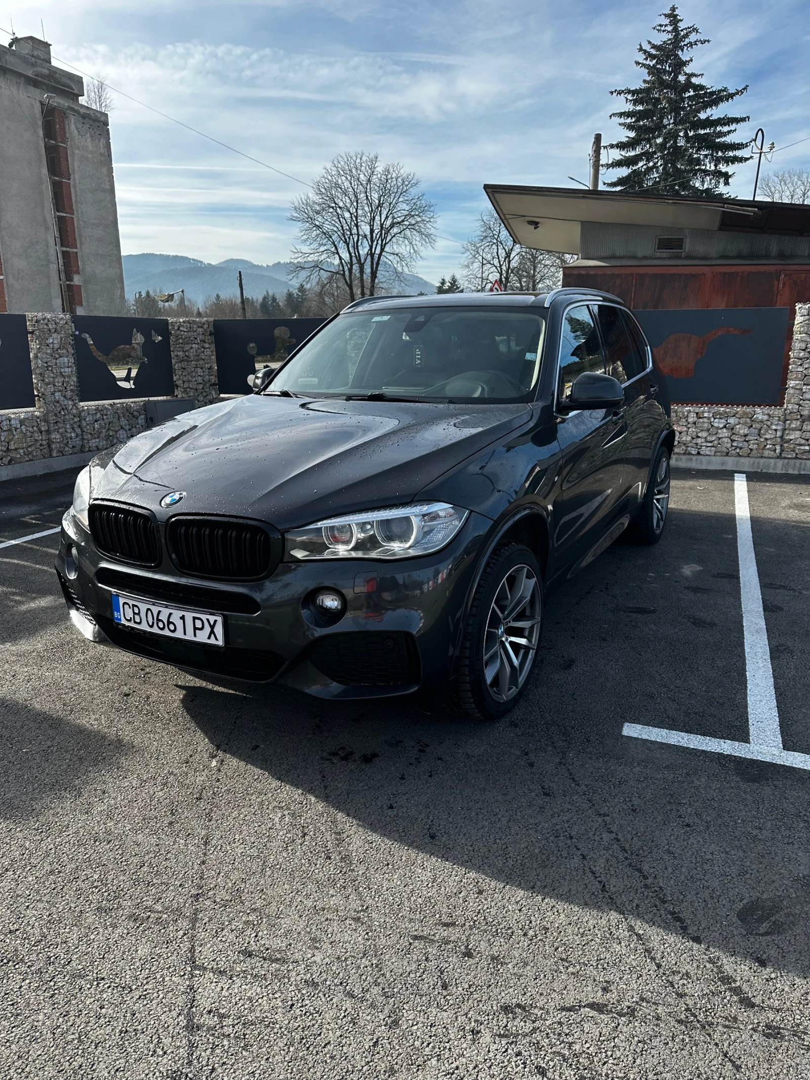 BMW X5 BMW X5 xDrive| MPacket| HeadUp| Сменени вериги  - изображение 3