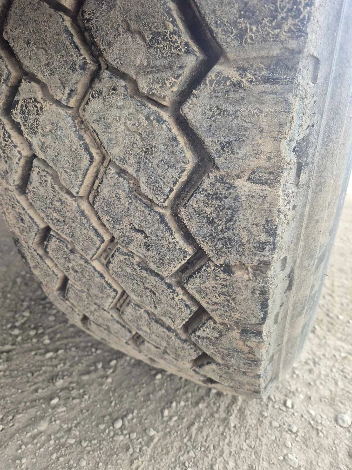 Man Tgx  - изображение 6