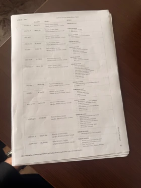 Porsche Panamera E-hibrid - 35000 € / 68454.05 лв. - 62451761 16