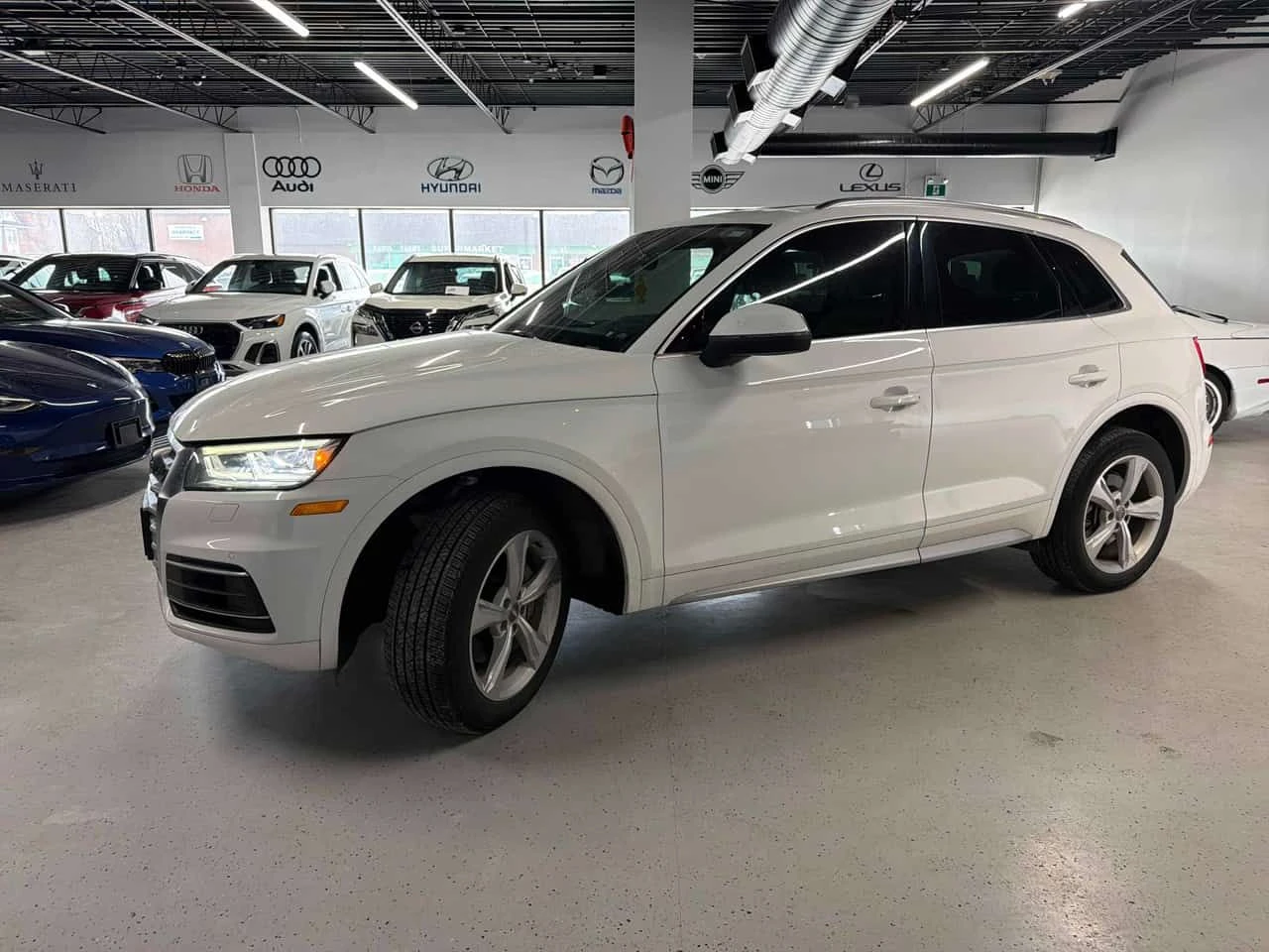 Audi Q5 * Progressiv * �������� * ������ * NAVI | Mobile.bg � ����������� 2