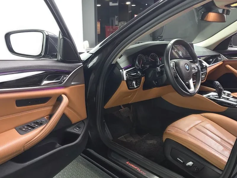 BMW 520 Luxury, снимка 10 - Автомобили и джипове - 56070700