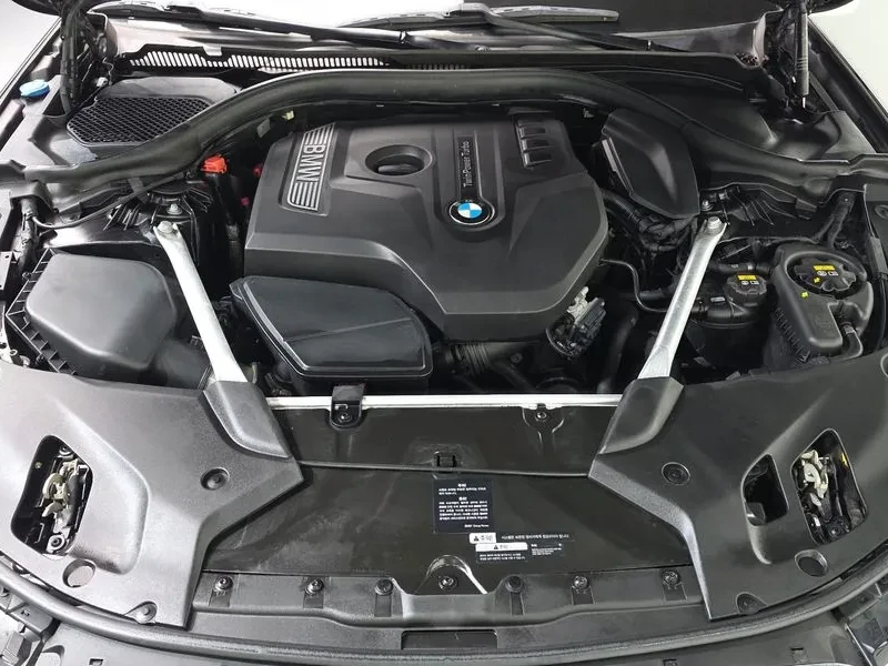 BMW 520 Luxury, снимка 6 - Автомобили и джипове - 56070700