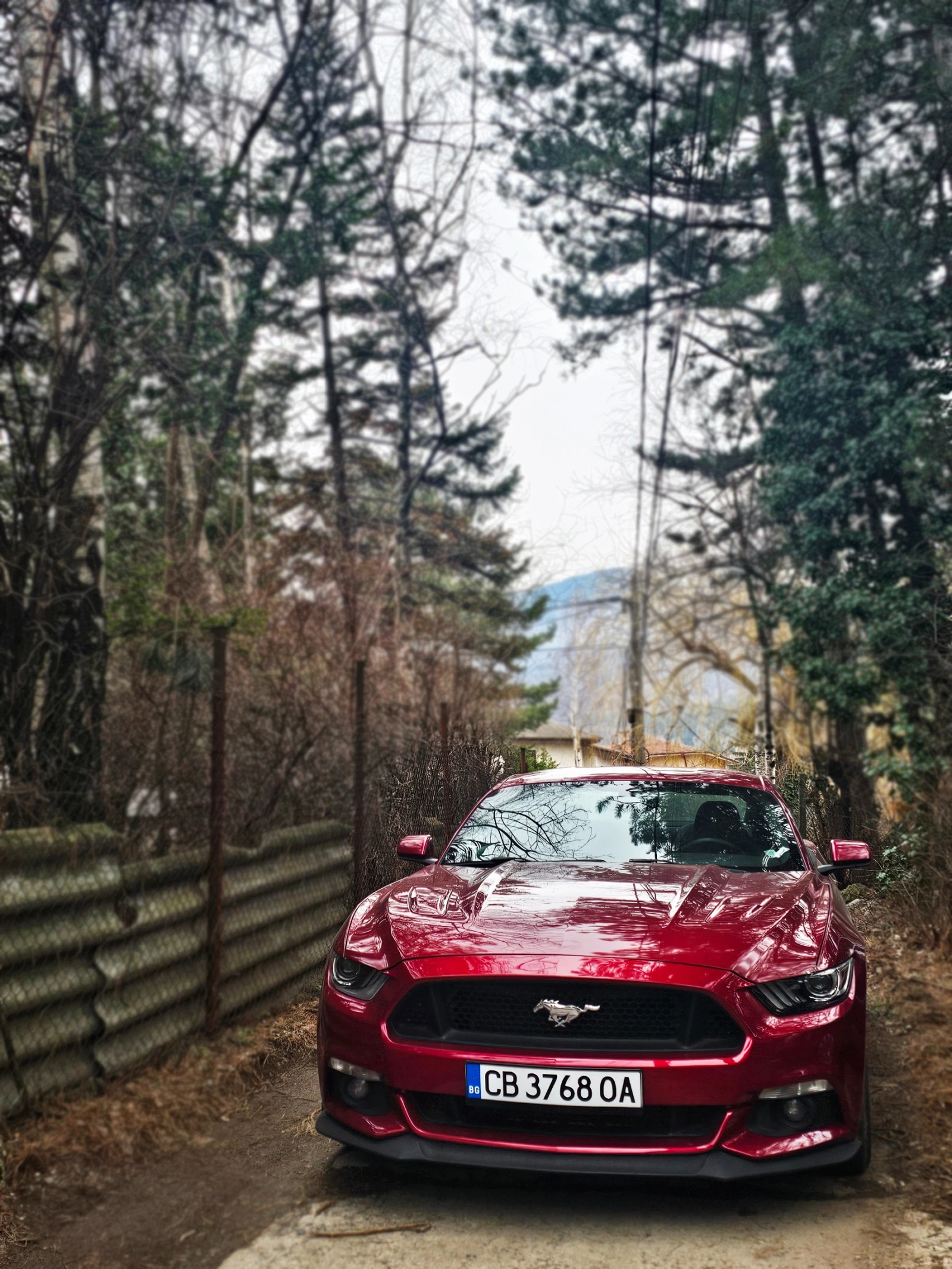 Ford Mustang GT 5.0 Performance Pack, снимка 5 - Автомобили и джипове - 53557407