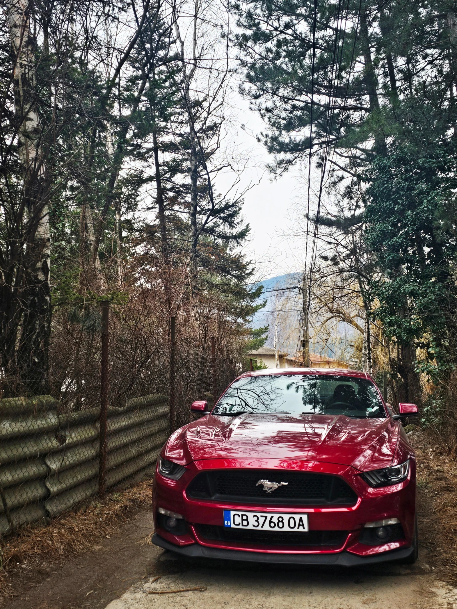 Ford Mustang GT 5.0 Performance Pack - изображение 2