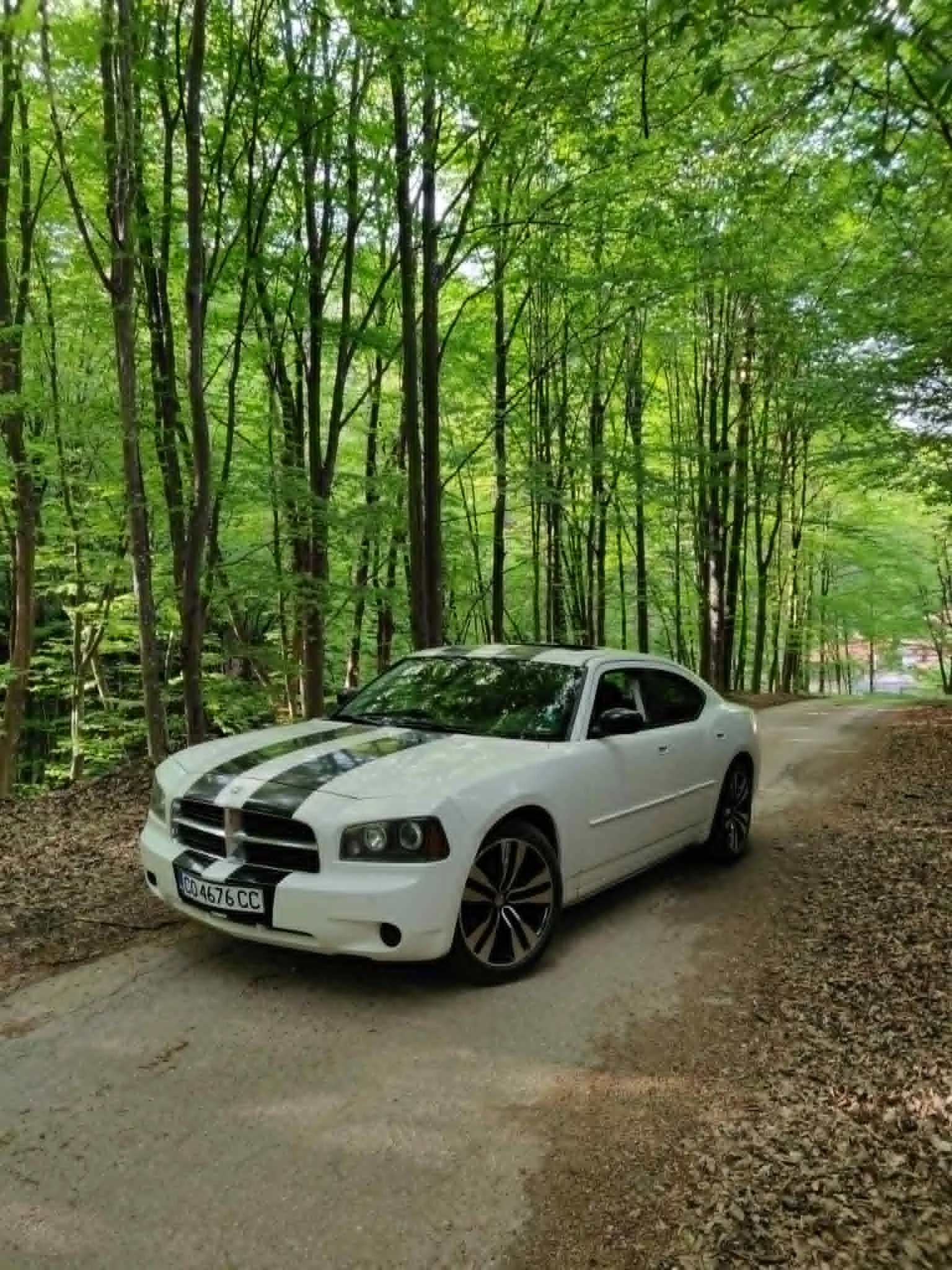Dodge Charger 3.5 V6 | Mobile.bg � ����������� 5