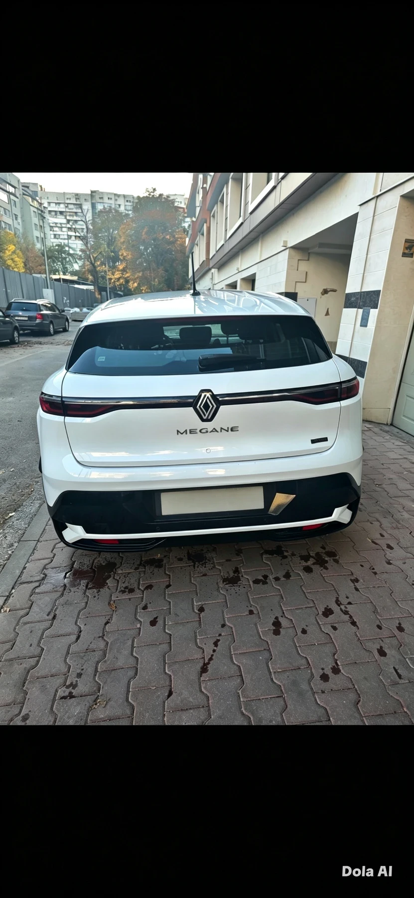 Renault Megane, снимка 2 - Автомобили и джипове - 55993240