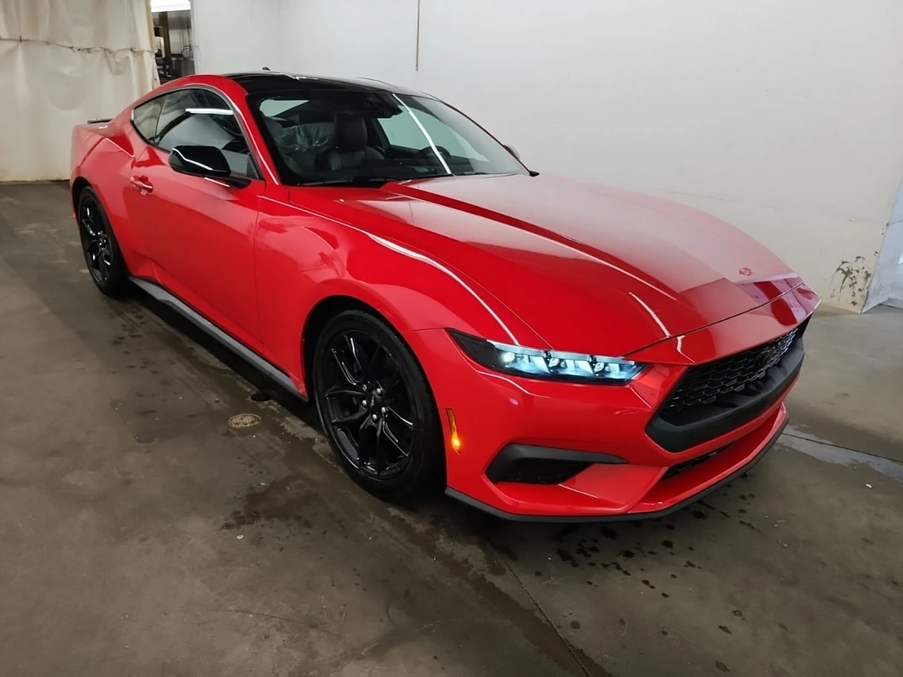 Ford Mustang * CARFAX * АВТО КРЕДИТ * ЦЕНА ДО БГ! - изображение 4