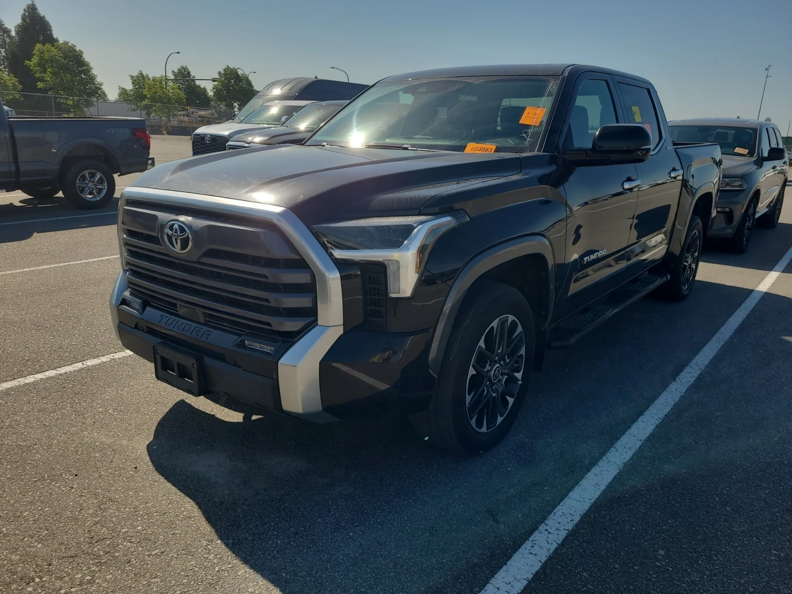 Toyota Tundra LIMITED CREW CAB SHORT BED