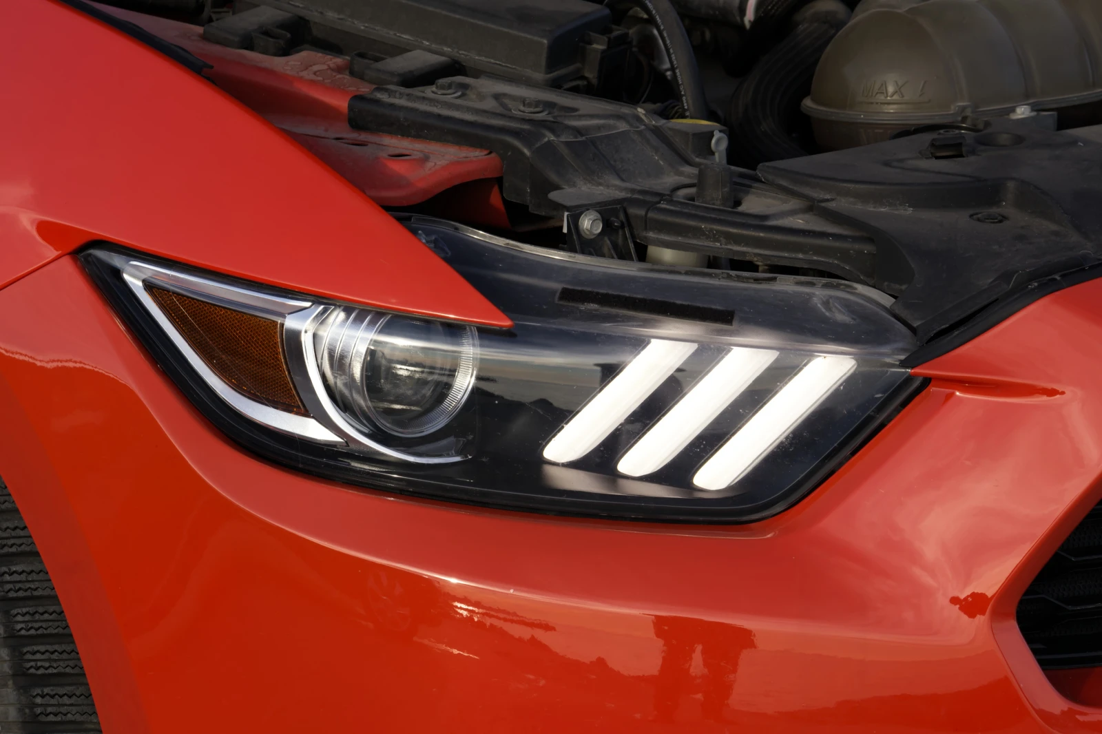 Ford Mustang  - изображение 5