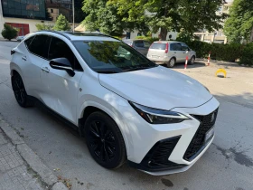     Lexus NX F sport
