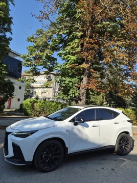    Lexus NX 350 F SPORT 2.4L  