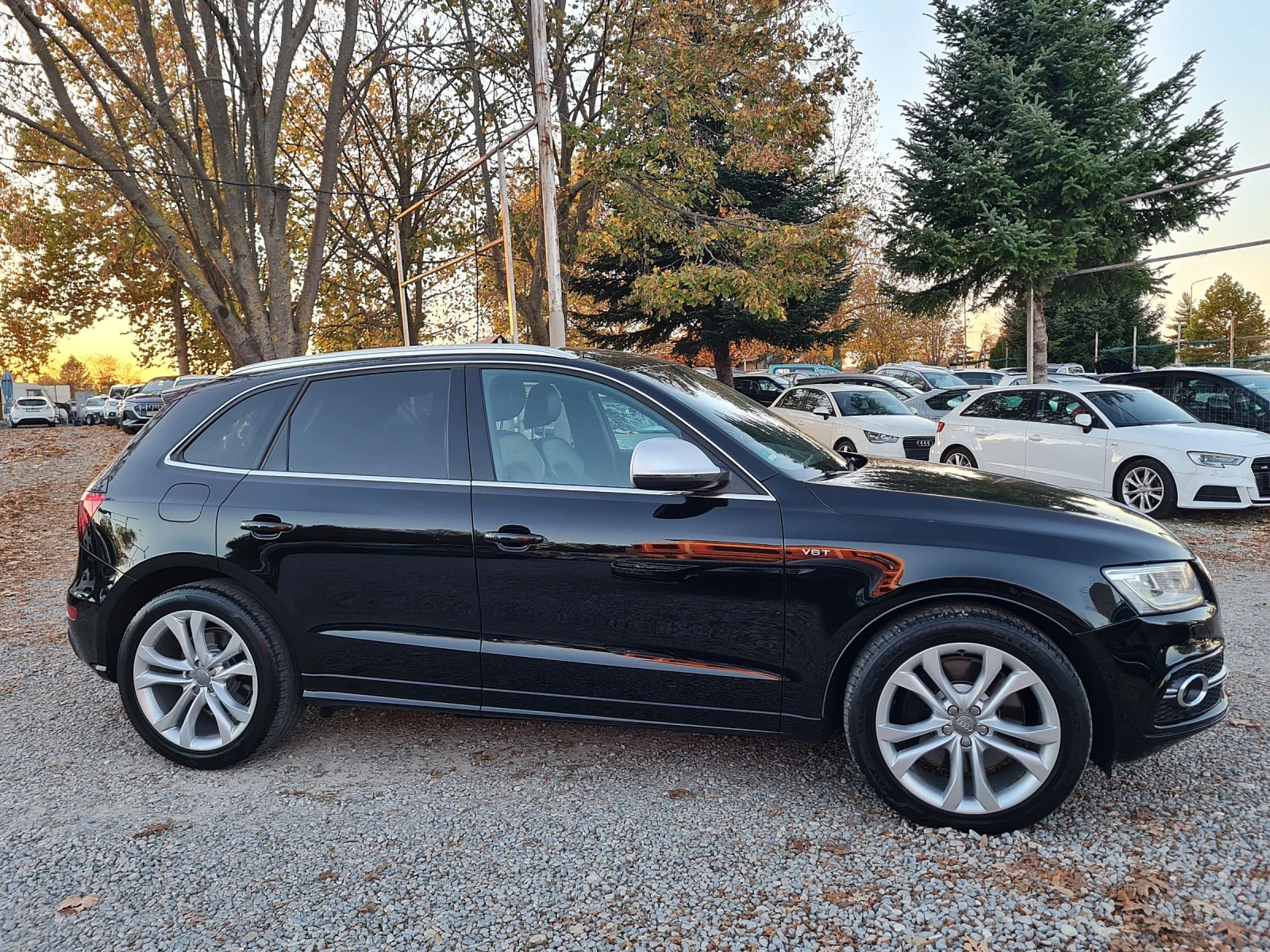 Audi SQ5 ВИСОКО НИВО НА ОБОРУДВАНЕ/СЕРВИЗНА ИСТОРИЯ - изображение 4