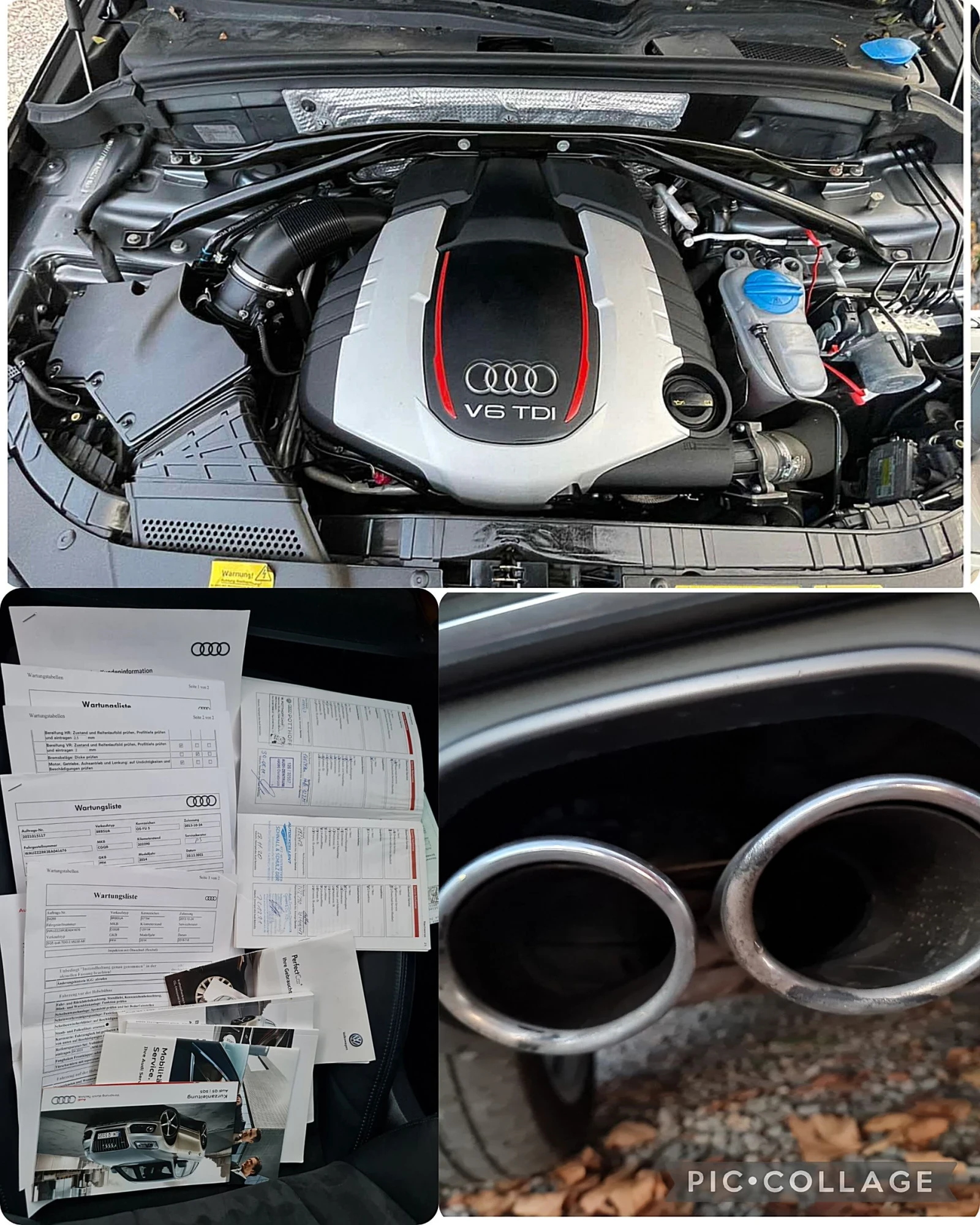 Audi SQ5    /  | Mobile.bg   13